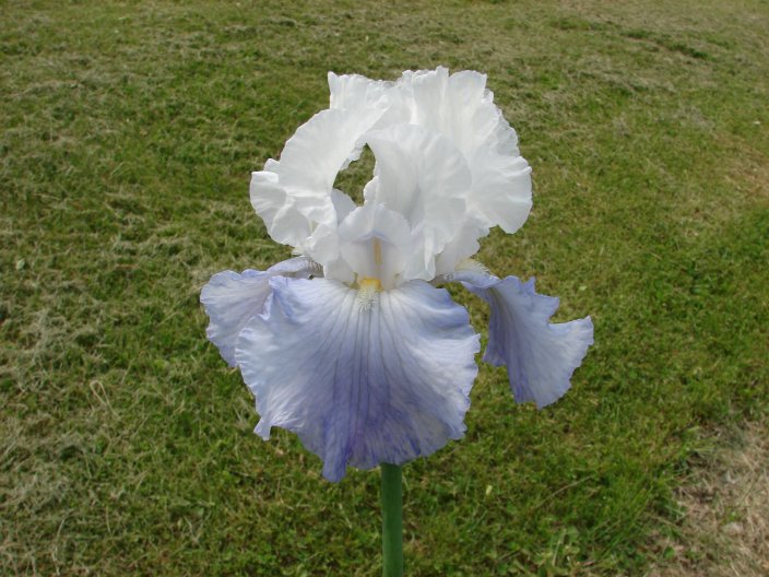 39